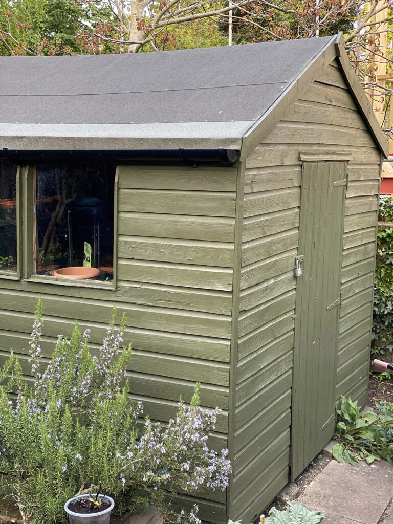 Shed at the bottom of the garden