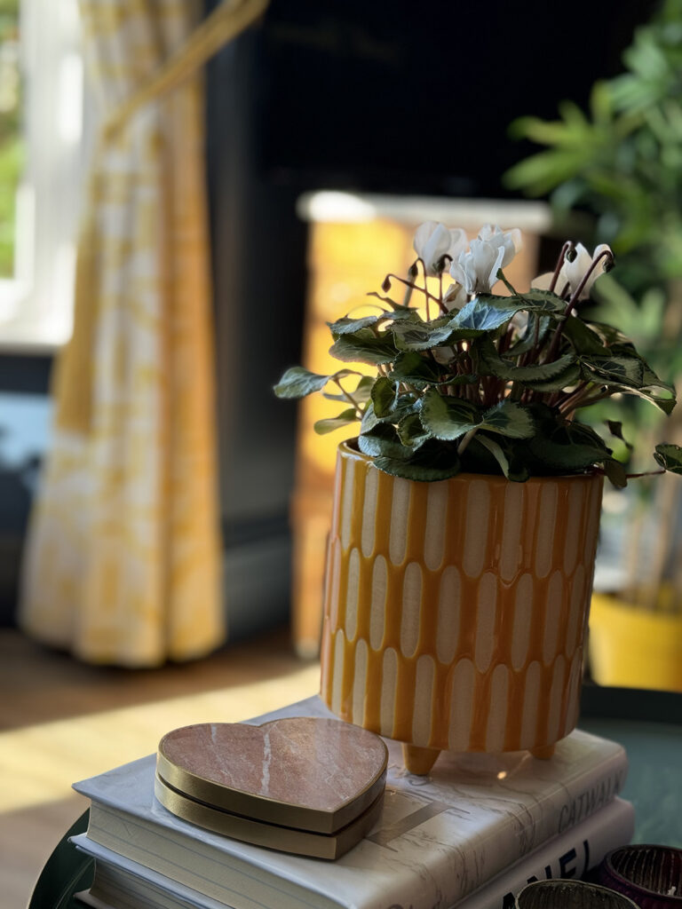 Cyclamen in a planter on top of a stack of books on a coffee table design by Sarah at Style & Decor