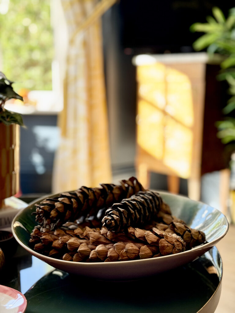 pine cones take center stage in this autumnal living room display