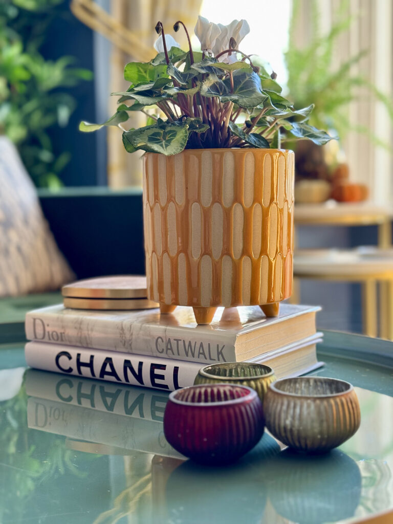 Coffee table decor using a stack of interesting books